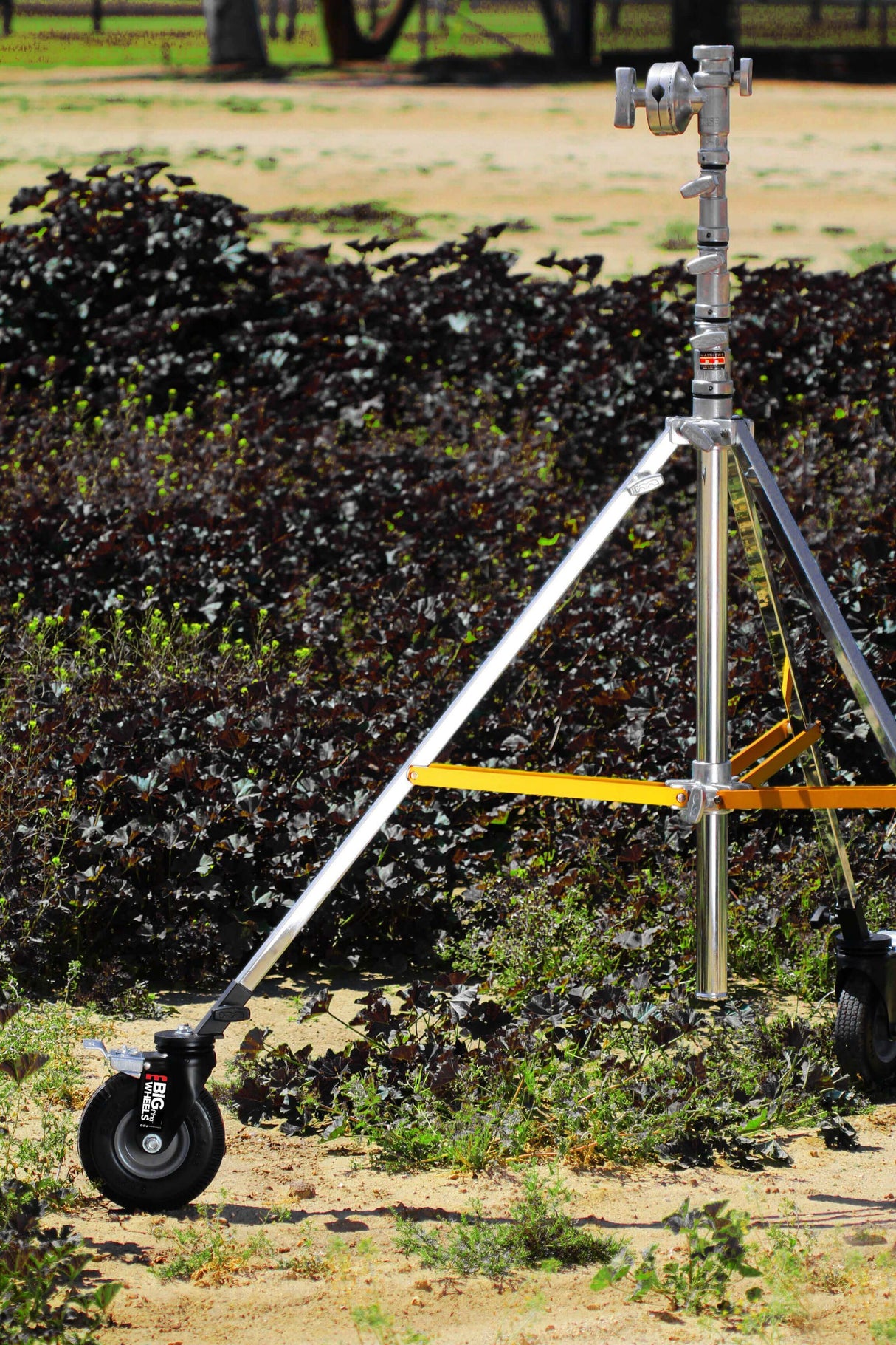 Big F’ing™ Combo Wheel attached to a sturdy tripod on a sandy surface surrounded by green foliage.